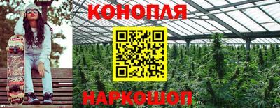 крисы Рыбинск