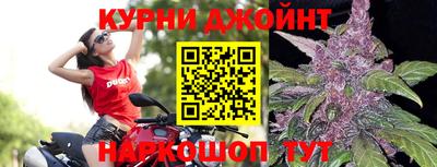 крисы Рыбинск