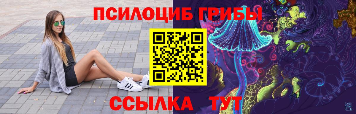 Псилоцибиновые грибы прущие грибы  Галлюциногенные грибы Psilocybe  Вход с VPN  Сегежа 